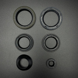 Комплект уплотнений (манжеты резинометаллические, прокладки паронитовые, кольца резиновые) SEAL KIT