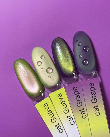 Guava cat color gel Iperfect 10g