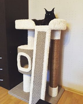 Дом для кота КУН-1А