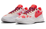 Кроссовки Mimi Plange X Nike Lebron 20 Ep