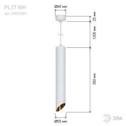 Светильник подвесной (подвес) ЭРА PL 17 WH MR16/GU10, белый, потолочный, цилиндр | Подвесные светильники