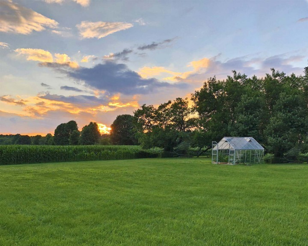 Садовый павильон - оранжерея Palram Balance 8 x 12 ft