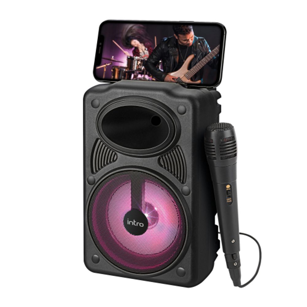 Портативная колонка Intro BRW440 bluetooth беспроводная с микрофоном акустическая черная
