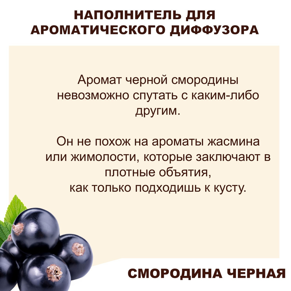 СМОРОДИНА ЧЕРНАЯ- Наполнитель для ароматического диффузора