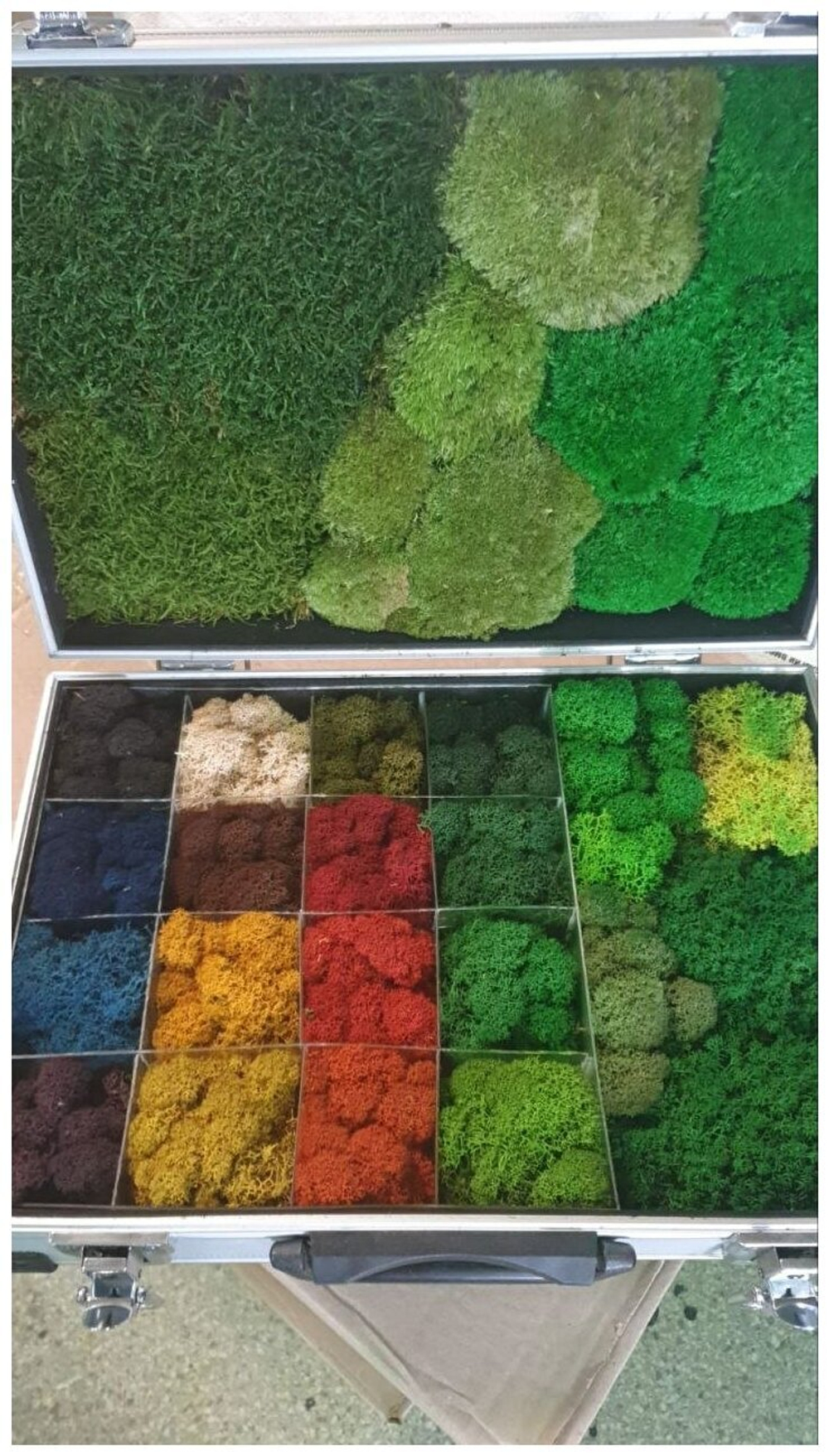 Панно из мха Ягель