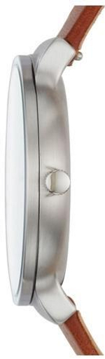 Мужские наручные часы Skagen SKW6433