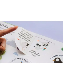 40 окошек. Откуда берутся дети