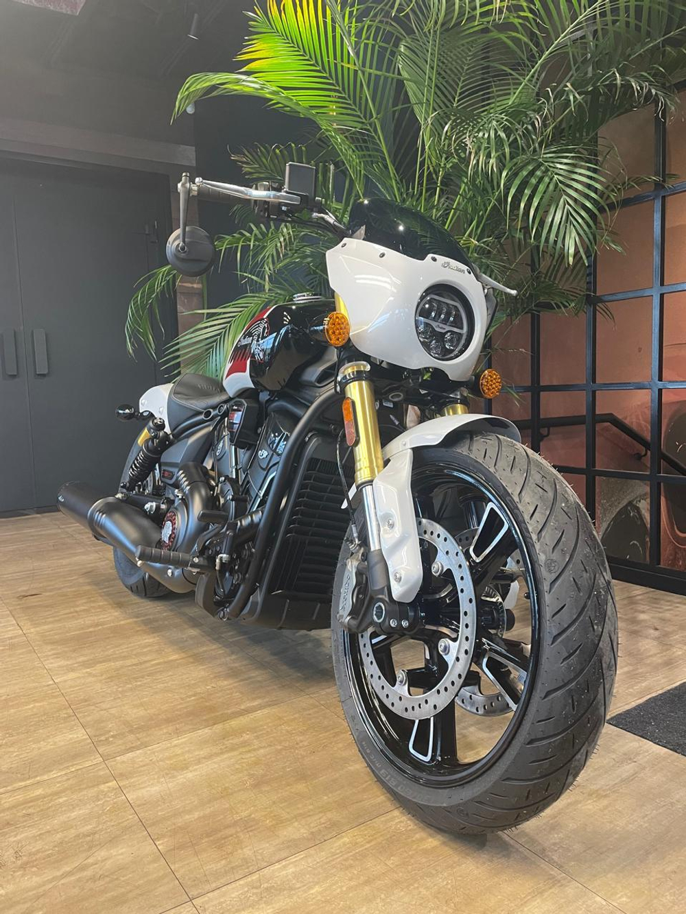 Indian Scout, 2025