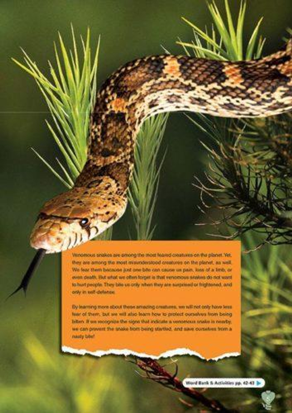 Venomous Snakes. Reader with Digibook apps. Книга для чтения с ссылкой на электронное приложение