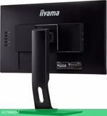 Монитор Iiyama ProLite XUB2493HSU-B1
