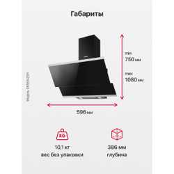 Наклонная вытяжка Hansa OKS6542SH