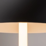 Декоративная настольная лампа Maytoni RAY Z012TL-L8B3K