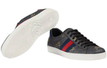 Gucci Ace