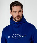Худые Tommy Hilfiger - голубой(MW0MW37455)