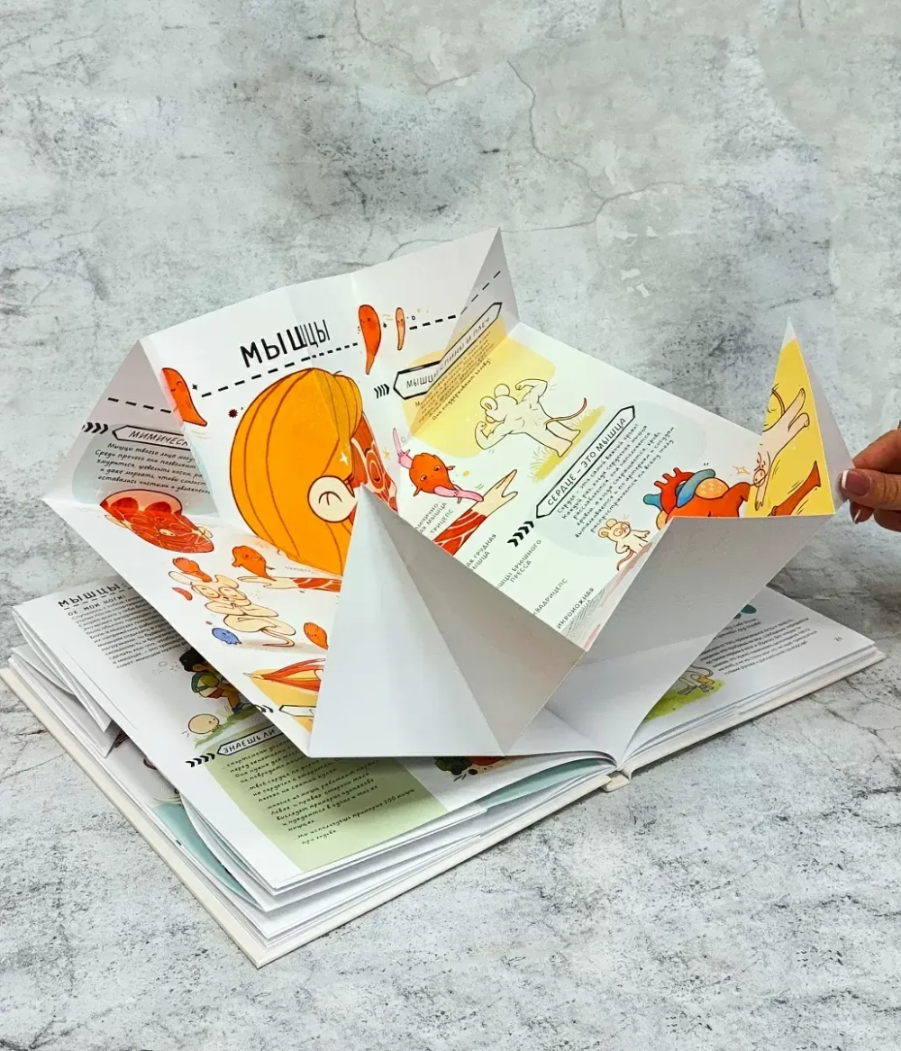 Книга с секретами. Секреты тела человека