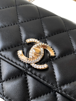 Chanel Bag (2 variants)