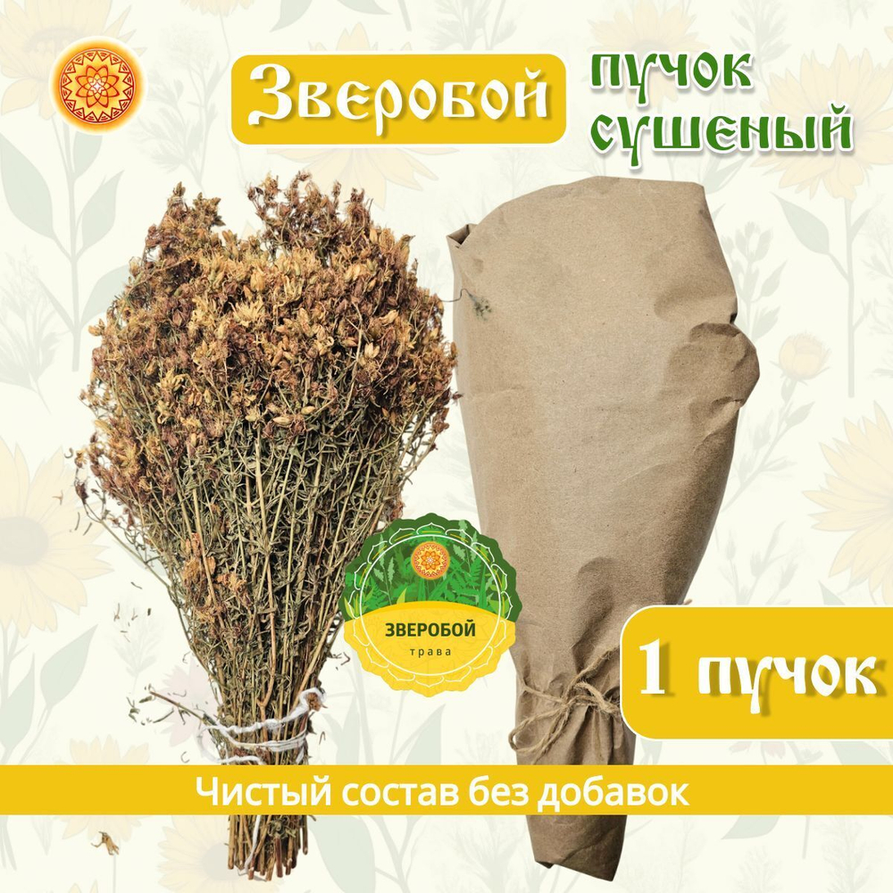 Зверобой пучок.