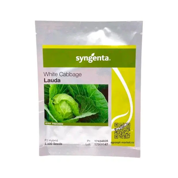 ЛАУДА F1 семена капусты белокочанной (Syngenta | Alexagro) – фото 3