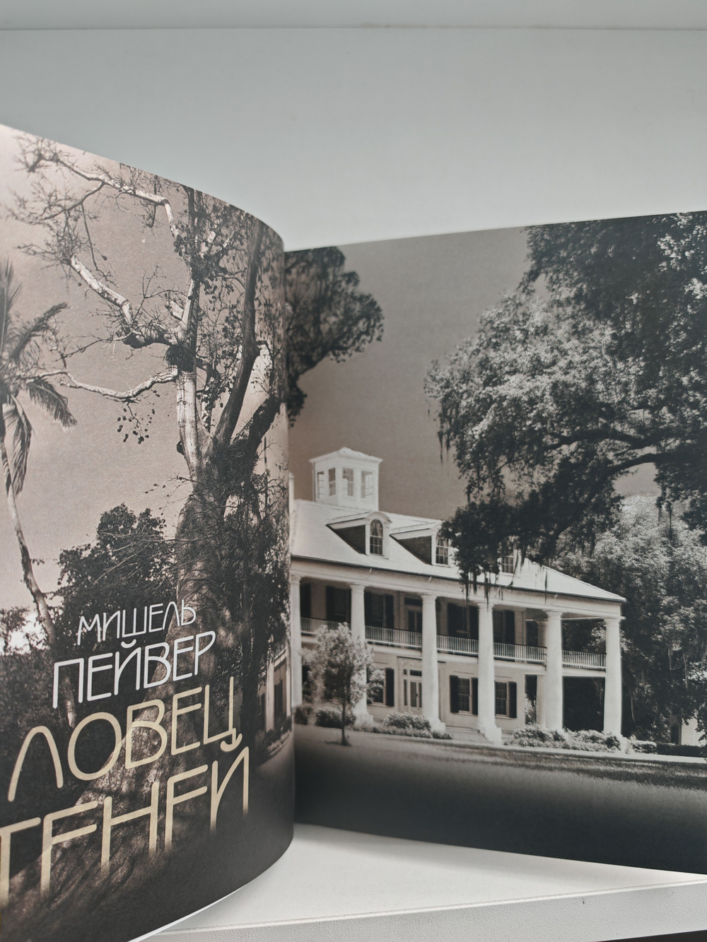 Ловец теней. Прощание с прошлым. P. S. Люблю, целую. Загадочное ночное убийство собаки