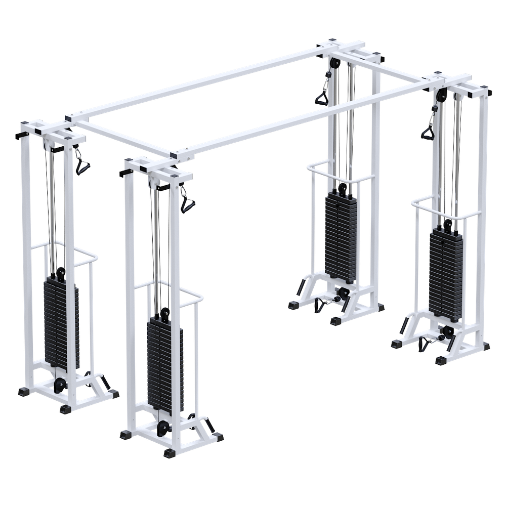 Биотонус-4 (стек 4х100 кг)