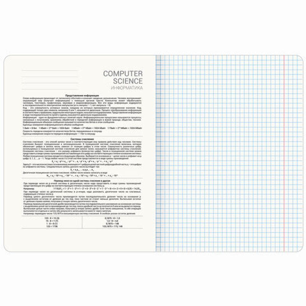 Тетрадь предметная "PASTEL" 48 л., SoftTouch, фольга, ИНФОРМАТИКА, клетка, BRAUBERG, 404315
