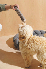 Игрушка Пони-Кренделькони