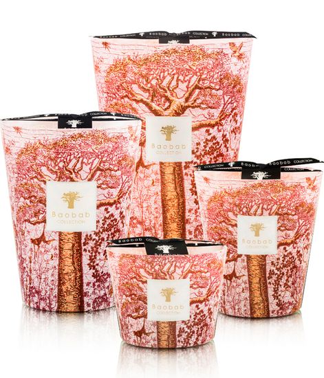 Woroba, свеча MAX 24 Sacred Trees collection, Baobab Collection