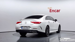 Mercedes-Benz CLS-Class C257 CLS450 4MATIC (07.2022)
