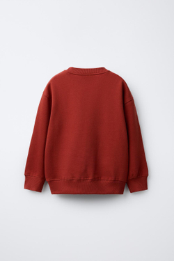 ZARA ТОЛСТОВКА С ПРИНТОМ В УНИВЕРСИТЕТСКОМ СТИЛЕ, ТЕРРАКОТОВЫЙ