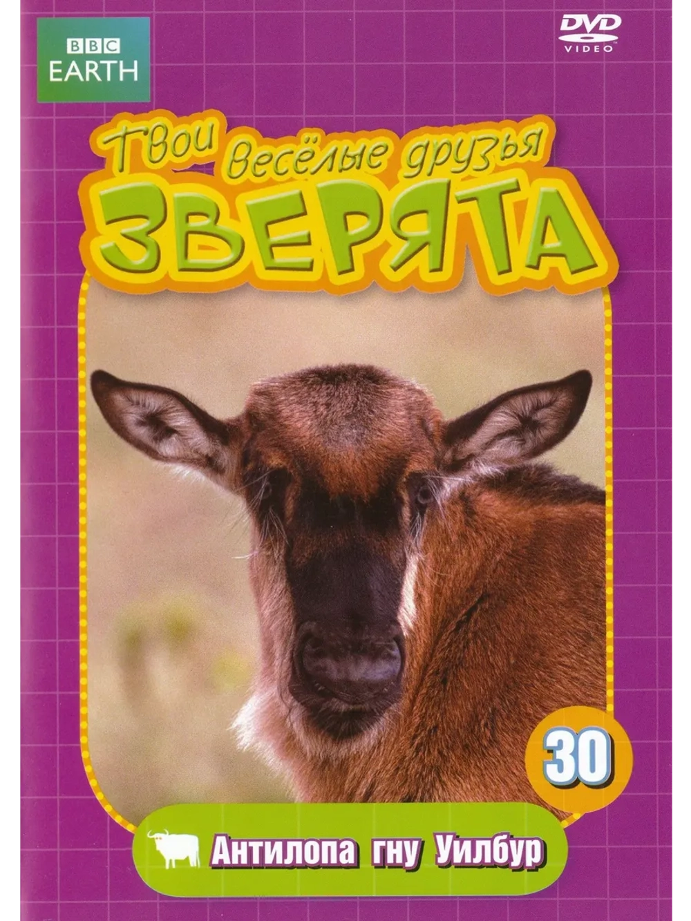 BBC: Антилопа Гну Уилбур (DVD-R)