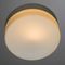 Потолочный светильник Arte Lamp Shirp A3211PL-1WH