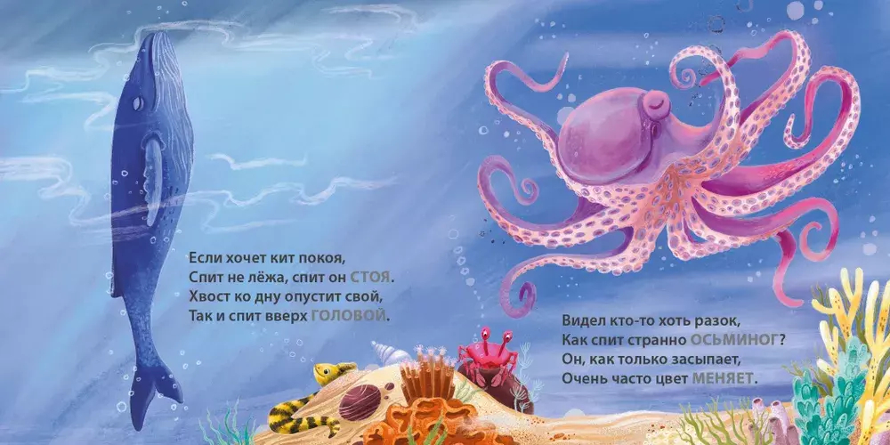 Книжки - картонки. Загадки - рифмы. Кто как спит