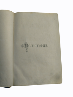 Книга "Испытание" В. Крестовский - 1883