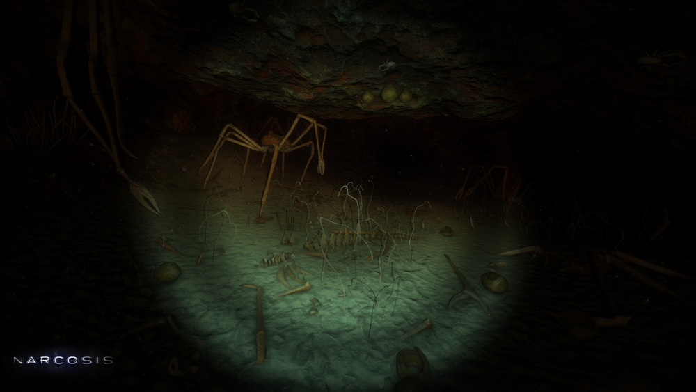 Narcosis (для ПК, цифровой код доступа)
