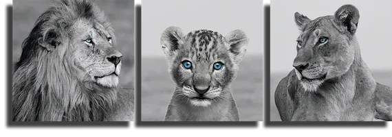 Модульная картина "Лев, львенок, львица"