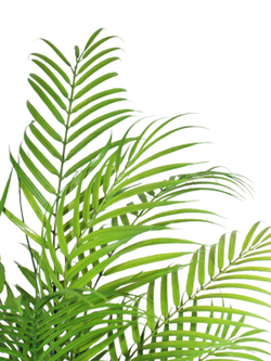 Искусственная пальма Комнатная 80см в кашпо