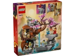 Конструктор LEGO Ninjago 71819 Храм камня Дракона