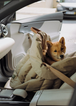 Комплект: Автокресло бежевое + чехол облегченный