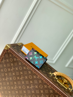 Louis Vuitton Pocket Organizer