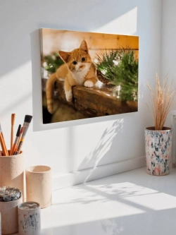 Картина на стену 40 X 50 Кошка