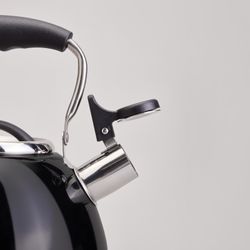 ЧАЙНИК СО СВИСТКОМ И СКЛАДЫВАЮЩЕЙСЯ РУЧКОЙ, 2.9Л