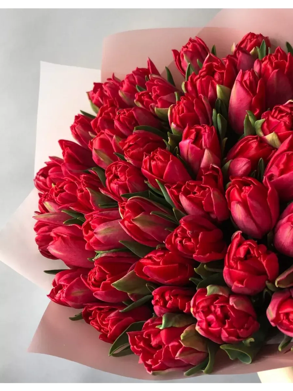 Тюльпаны пионовидные ,луковицы сорт LARGO красные (4штуки)