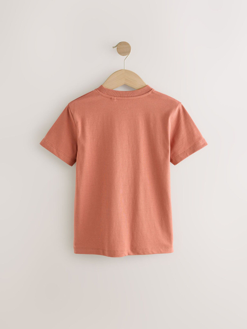 Футболка для мальчика Next E99-170, Светло-кирпичный