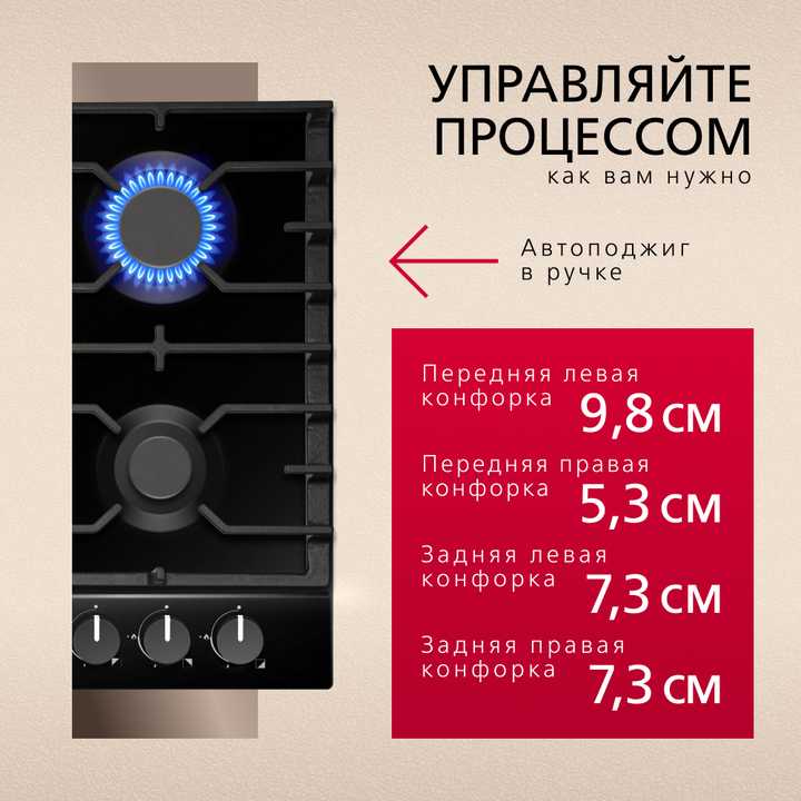 Газовая панель Hansa BHGS630301