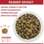 Корм для собак сухой Родные корма 16,38кг, для взрослых животных с говядиной