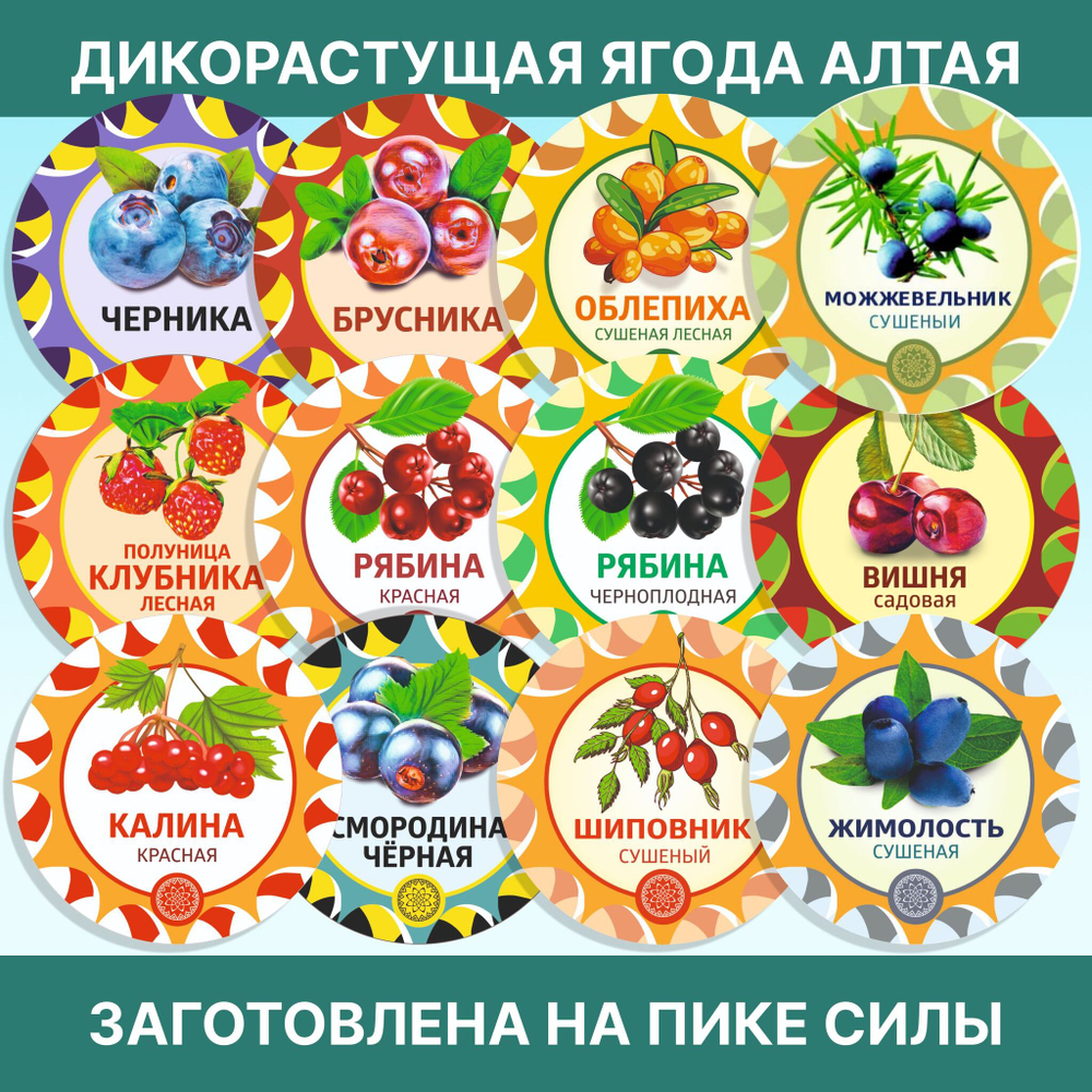 Саган-Дайля.