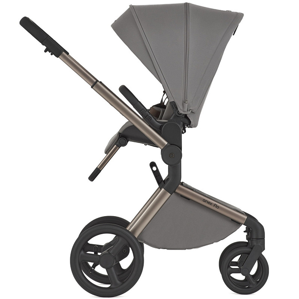 Детская коляска Anex Flo 2 в 1 Charm