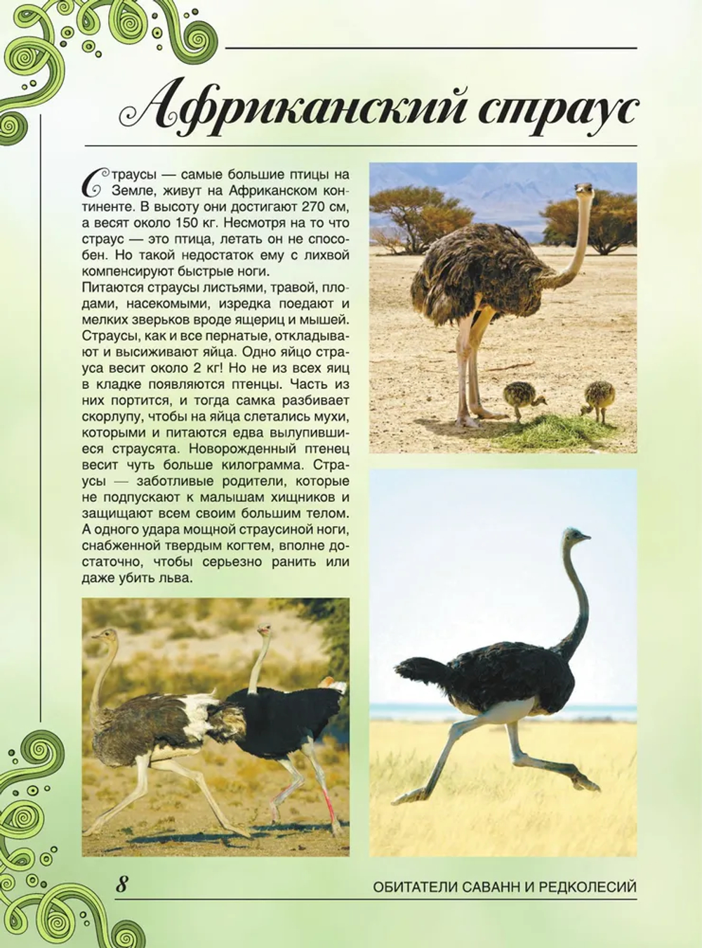 Большая книга о животных. 1001 фотография