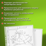 Файлы формат большой (297х420 мм) А3 ВЕРТИКАЛЬНЫЕ комплект 50 шт. 35 мкм STAFF "Manager" (3 штуки в упаковке)