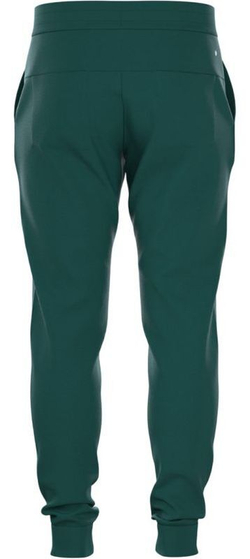 Мужские теннисные штаны Björn Borg Essential 1 - зеленый